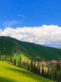 伊犁包車遊封神級體驗不看後悔