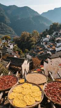 11月三清山四天三晚，玩轉天下第一仙山！住進雲海仙境！