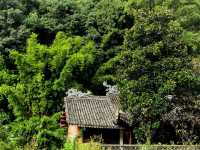 人在旅途、溫州