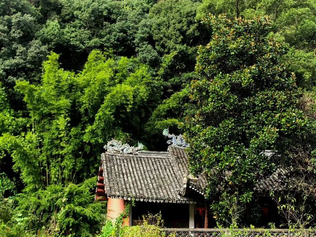 人在旅途、溫州 人在旅途、溫州