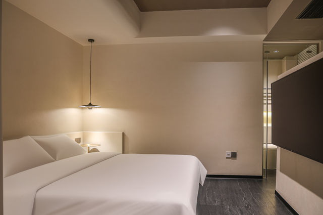 11月7日南雄帽子峰銀杏葉實拍