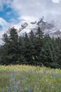 理塘千戶藏寨：在天空之城尋找丁真的世界