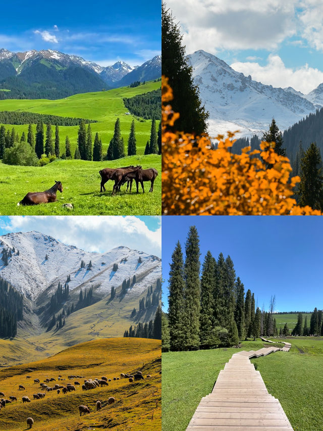 新疆庫爾德寧旅遊攻略｜天山腹地的秋色天花板