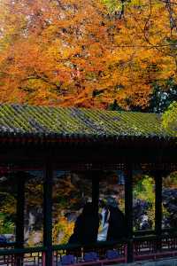 立冬的頤和園#北京的秋冬