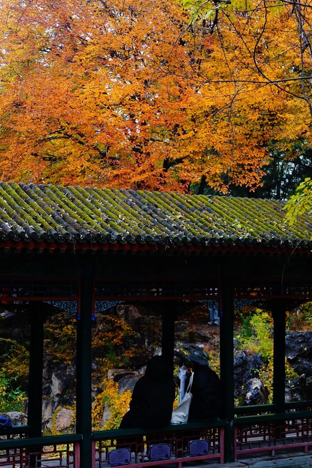 立冬的頤和園#北京的秋冬