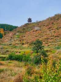 內蒙古蘇木山,墜入北境金色油畫