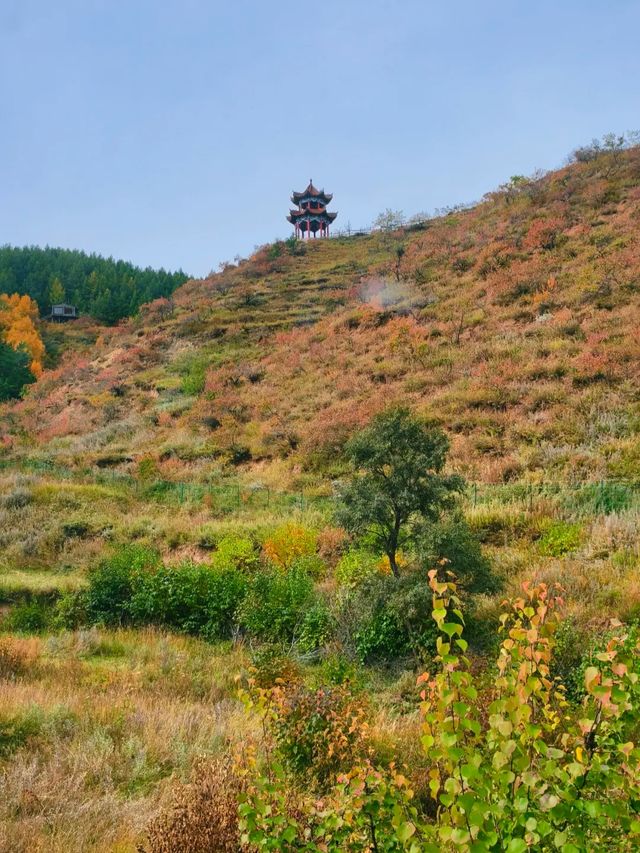 內蒙古蘇木山,墜入北境金色油畫 內蒙古蘇木山,墜入北境金色油畫