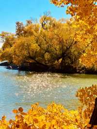 北京頤和園的秋天，是把調色盤打翻在皇家園林裡了！