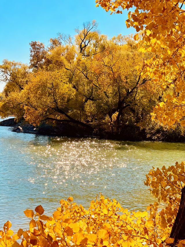 北京頤和園的秋天，是把調色盤打翻在皇家園林裡了！