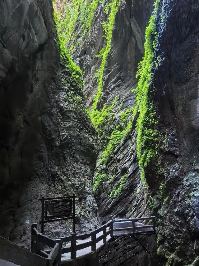 Shocking! Wulong Tian Sheng San Qiao (Three Natural Bridges) Guide in Chongqing: Sinkhole vs. Fissure, Which Is More Spectacular?