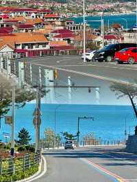 青島1元環海公交yyds！沿途海景美翻天