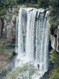 劉伯温故里必吃美食榜