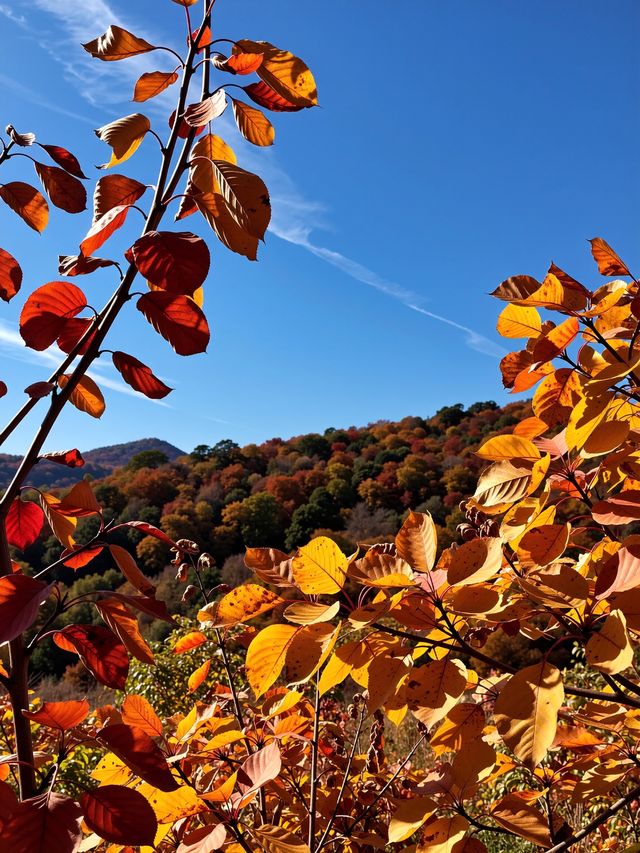 來密雲的紅花峪，這裡的景美得讓你震撼。
