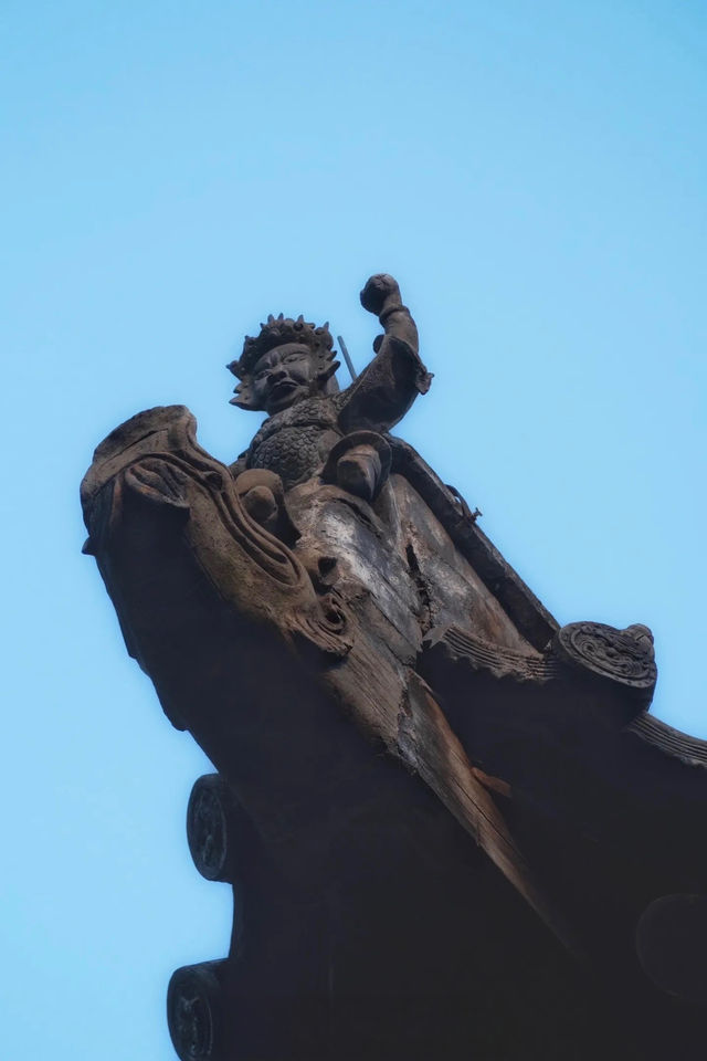 登封最佳銀杏拍攝地