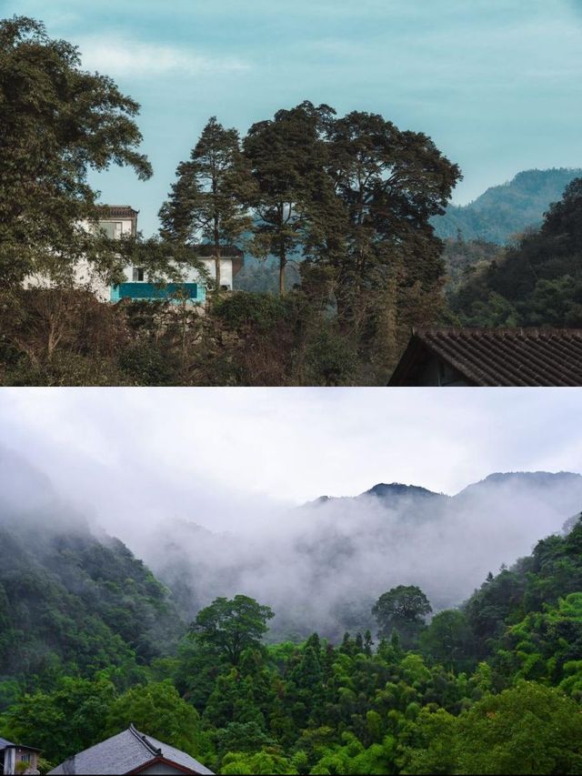 峨眉溫泉之旅，住進綠意小築！