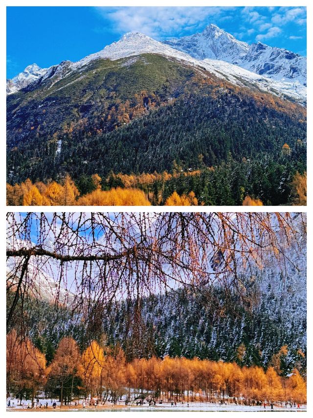 雪後的畢棚溝,美成了北歐 雪後的畢棚溝,美成了北歐