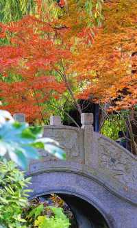 落葉像雪一樣的季節