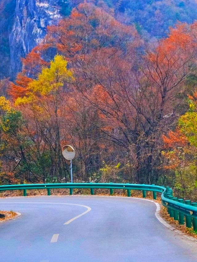 親子徒步看紅葉寶藏地，十八月潭保姆級攻略