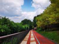 雨過天晴的自貢鳶山公園