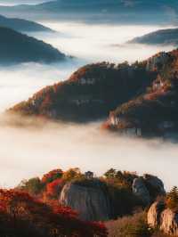 濰坊石門坊親子賞秋帶娃解鎖漫山紅葉與童趣時光