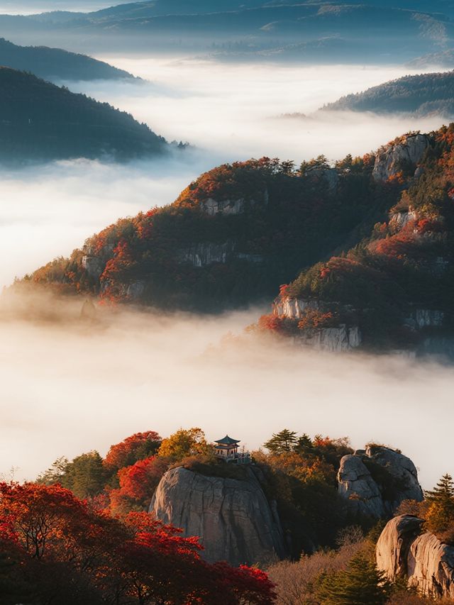濰坊石門坊親子賞秋帶娃解鎖漫山紅葉與童趣時光 濰坊石門坊親子賞秋帶娃解鎖漫山紅葉與童趣時光