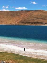 故宮與西藏文物聯展，千年國寶首次回藏！