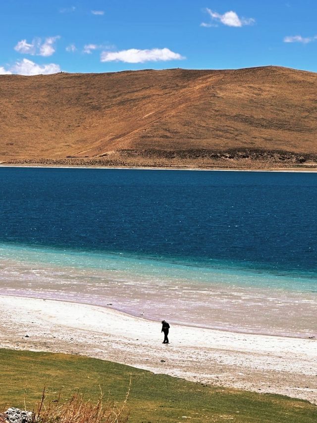 故宮與西藏文物聯展，千年國寶首次回藏！