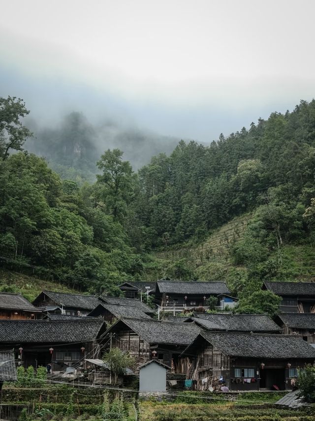 湖南湘西不止鳳凰古城!!這個才是真·苗寨天花板! 湖南湘西不止鳳凰古城!!這個才是真·苗寨天花板!
