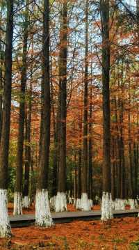 南昌｜是秋天的味道