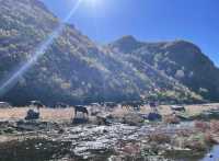 京郊小眾秘境｜網紅咏歸川泡私湯看星空絕絕子！