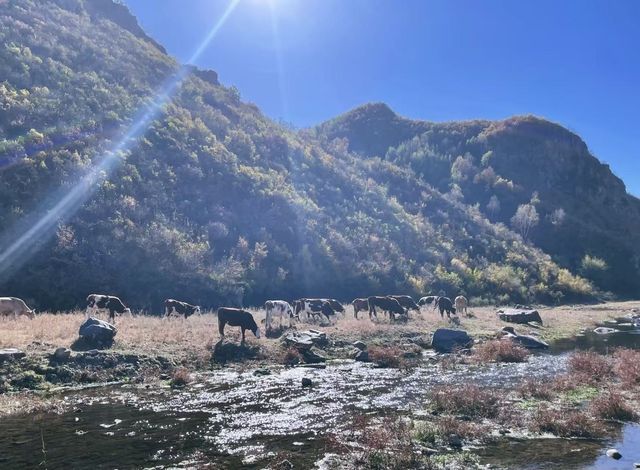 京郊小眾秘境｜網紅咏歸川泡私湯看星空絕絕子！