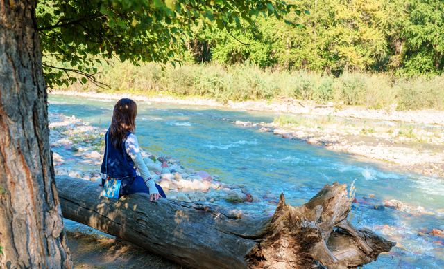 新疆伊犁定制 新疆伊犁定制