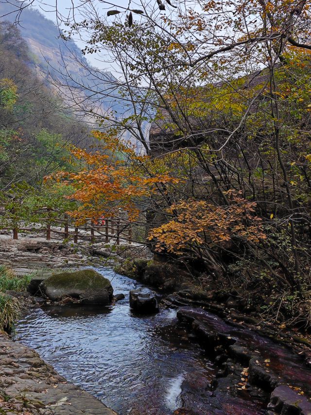 闖入億萬年前的天然畫廊河南龍潭大峽谷