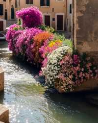 麗江古城·柔軟時光指南 | 邂逅高原水鄉