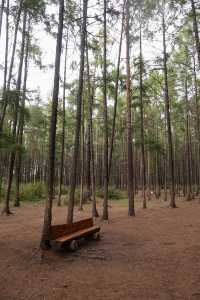 秒變採蘑菇的小伙子