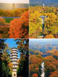 南京靈谷寺賞秋秘境