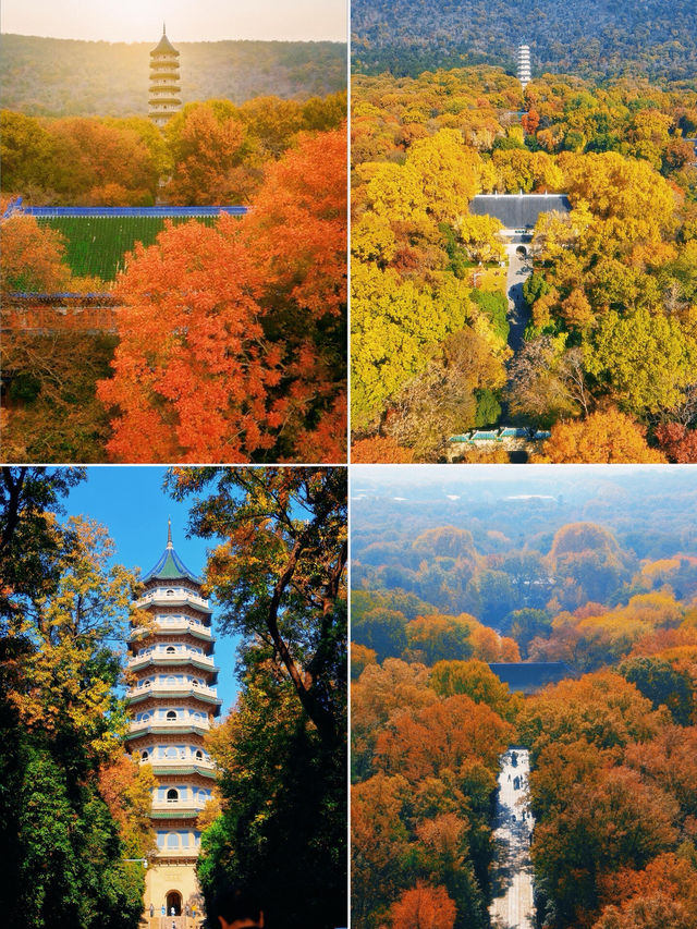 南京靈谷寺賞秋秘境