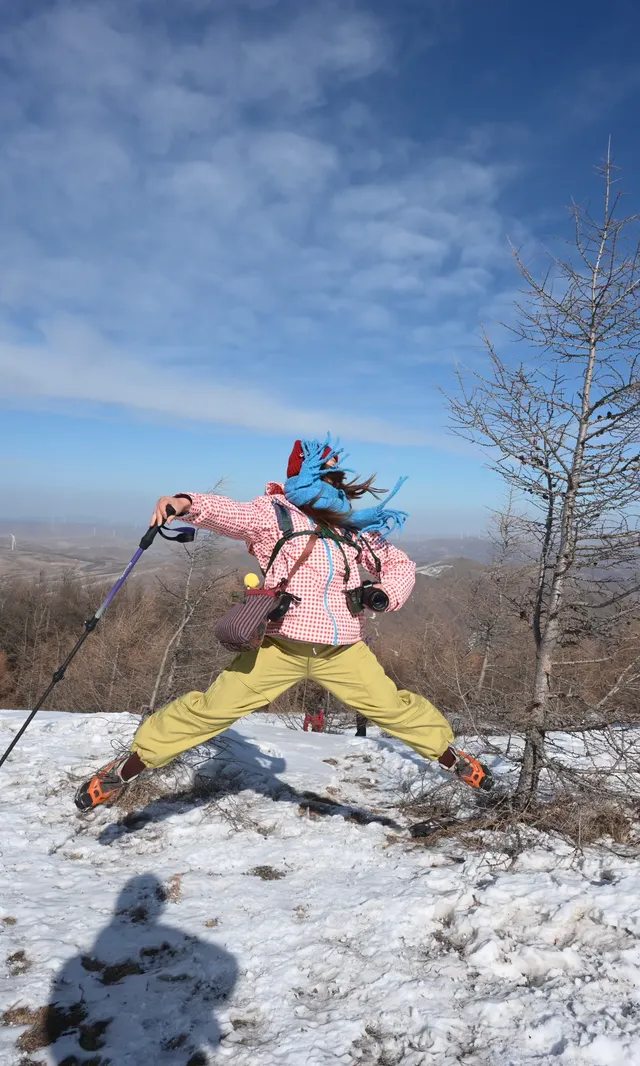 去了沒有雪松的樺皮嶺,想看你們拍的雪松 去了沒有雪松的樺皮嶺,想看你們拍的雪松