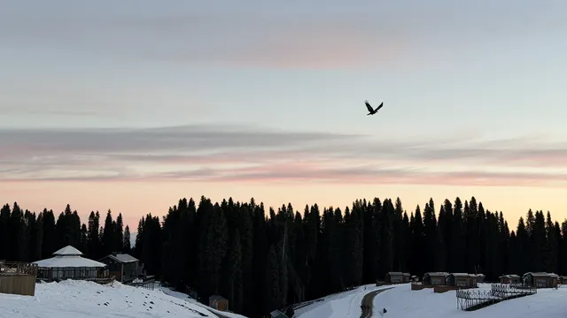 成都秋假 新疆賽里木湖4天三晚攻略來啦 成都秋假 新疆賽里木湖4天三晚攻略來啦