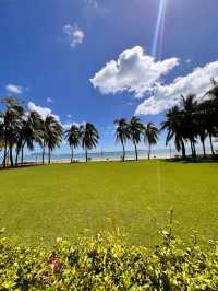 三亞7天防雷踩坑攻略！看完這篇省下1000塊