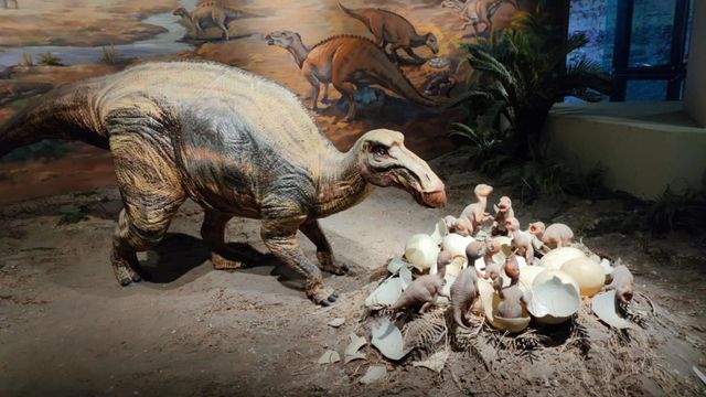 穿越兩億年的溫柔叩門聆聽時間破碎的聲音 穿越兩億年的溫柔叩門聆聽時間破碎的聲音