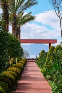 撫仙湖頂奢酒店上新，寶麗灣把愛麗絲夢遊的仙境般進現實