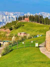 11.26實況!大理最美雪山機位被我找到啦