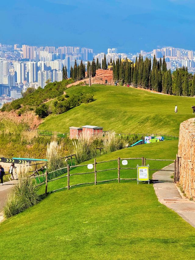 11.26實況!大理最美雪山機位被我找到啦 11.26實況!大理最美雪山機位被我找到啦