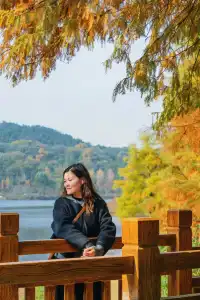 德陽東湖山水杉林紅了！陽光穿透紅杉林絕美