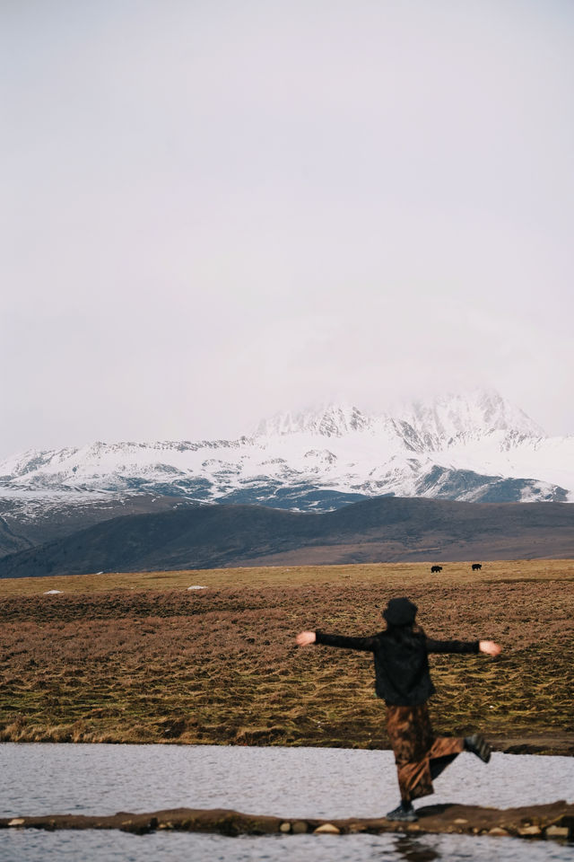 在雪山與聖湖間找回生活的答案