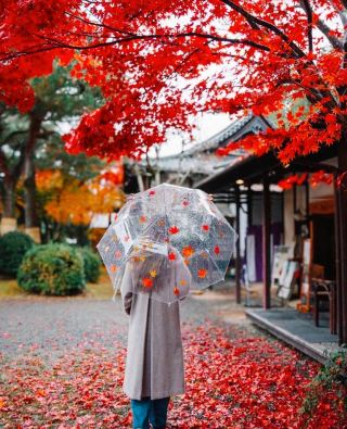 為什麼說沒去過大阪城公園就等於沒來過大阪