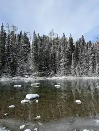 4大2小｜阿勒泰禾木喀納斯美到失語的秋假