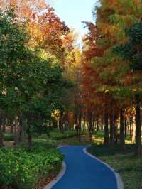 蘇州河畔超全秋日打卡攻略隨手拍都是電影感!