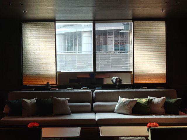 知其燃不知其所以燃，上海阿麗拉酒店